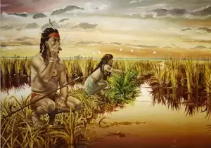 South Florida Indians gathering food in the Everglades about the time of European arrival in Florida. Courtesy of Theodore Morris.