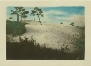 A hand-colored photograph of Barnhill Mound, Boca Raton, 1920s.